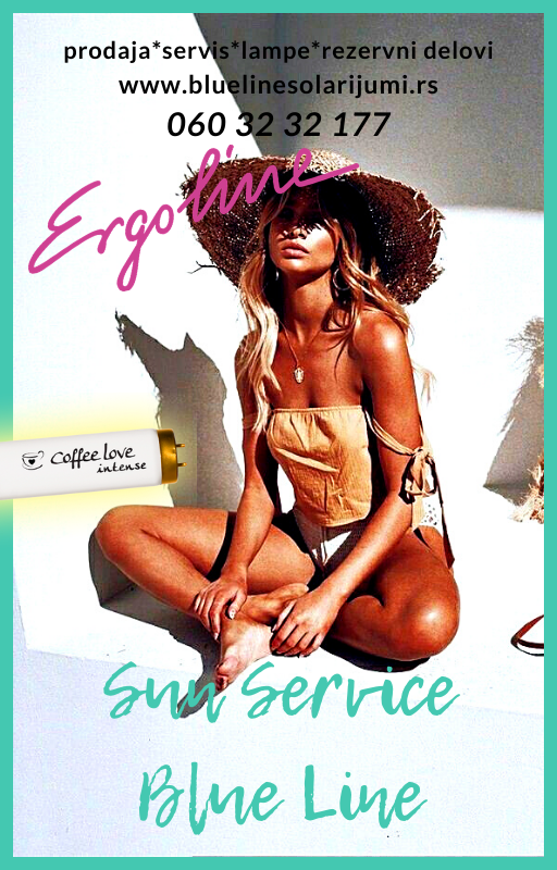 sun servis blue line